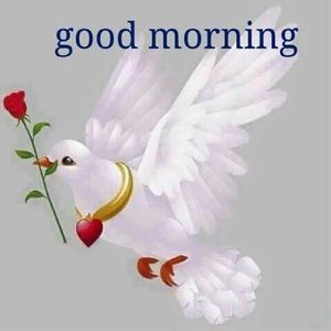 Meet your Posher, Vedette